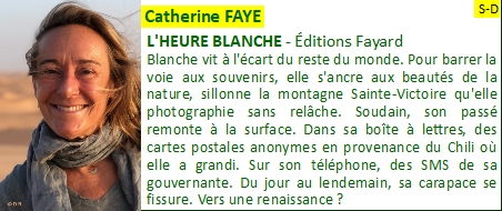 Catherine FAYE